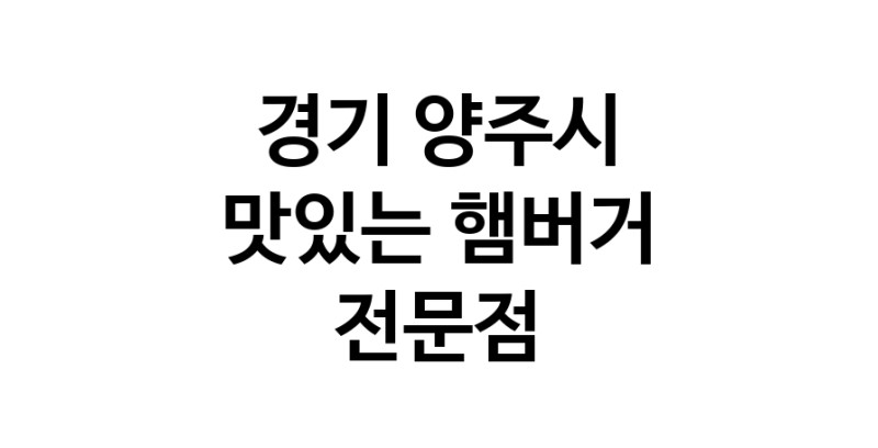 햄버거 전문점 추천 경기 양주시 수제버거 불벅 편의점햄버거 햄버거맛집 패스트푸드