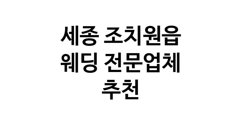 예식장 전문업체 추천 세종 조치원읍 우수업체 웨딩홀 스드메 웨딩촬영 호텔웨딩 스몰웨딩 웨딩드레스 웨딩스튜디오