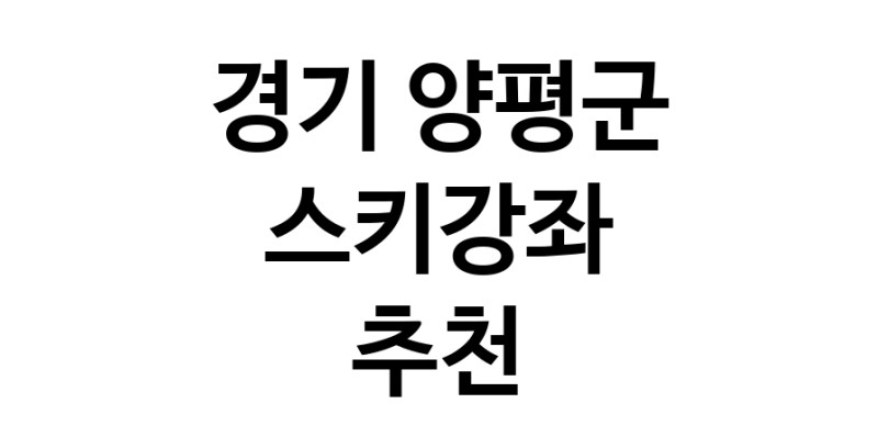 스키강습추천 경기 양평군 스키강좌 실내스키장