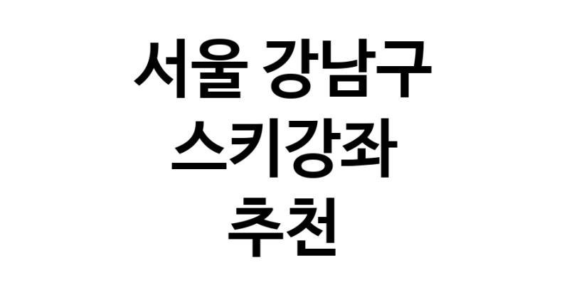 스키강습 서울 강남구 우수업체 스키강좌 실내스키장