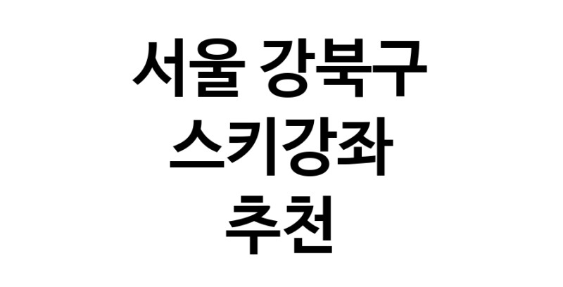 스키강습 서울 강북구 우수업체 스키강좌 실내스키장