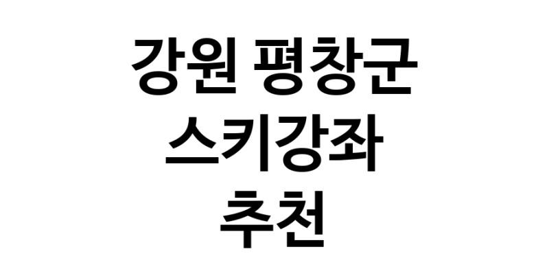 스키강습 강원 평창군 우수업체 스키강좌 실내스키장